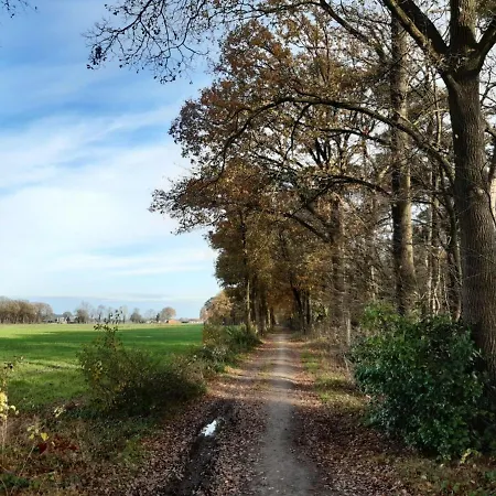 Garden View Bungalow In Nassau With Pool 別荘 バールレ・ナッサウ