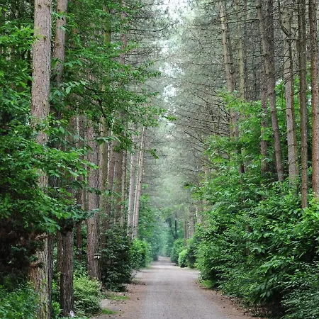 Garden View Bungalow In Nassau With Pool バールレ・ナッサウ